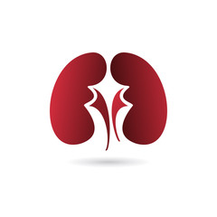 Simple kidneys vector