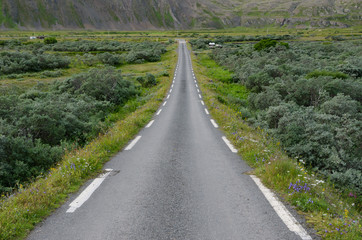 Norwegian road in the vicinity of Hamningberg