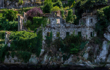 Old manor house ruins by the water overtaken by nature, trees an