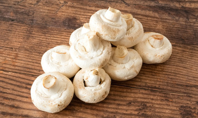 A row of large white  mushrooms placed across a dark oak planked board