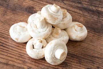 A row of large white  mushrooms placed across a dark oak planked board