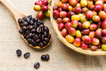 Red coffee beans