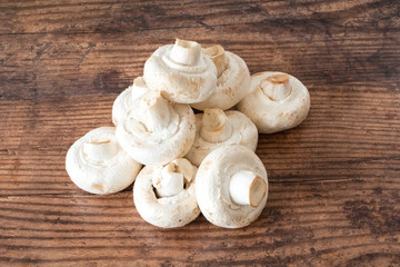 A row of large white  mushrooms placed across a dark oak planked board