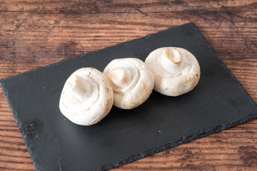 A row of large white  mushrooms placed across a Slate and dark oak planked board