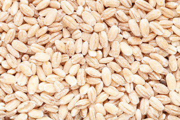 Pearl barley texture close up for background