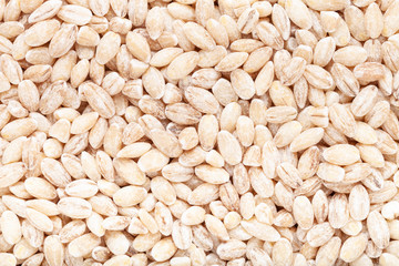 Pearl barley texture close up for background