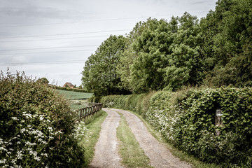Wide road through the fields