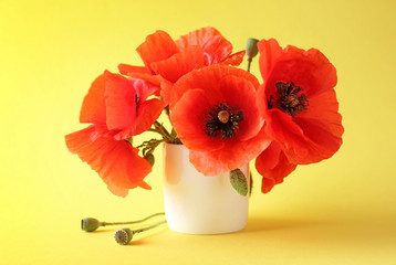 Vase with beautiful red poppy flowers on color background