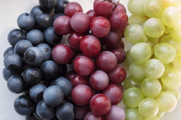 bunch of grapes close-up on a white background, place for text