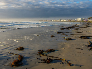 Melkbosstrand near Cape Town. Western Cape. South Africa