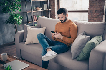 Portrait of his he nice attractive focused concentrated bearded guy sitting on divan surfing web...