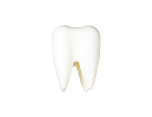 Tooth model 3D isolated on white background - with clipping path
