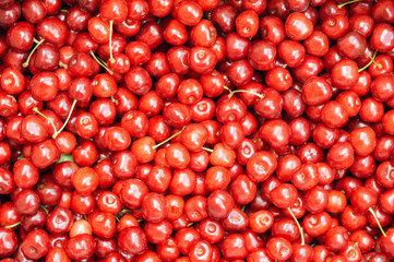 The sweet cherry