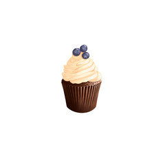cupcake isolated on white background
