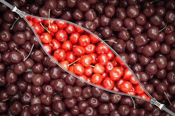 zipper and cherry berry