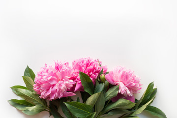 Bouquet of pink peony flowers as frame on white. Copy space for text. Top view. Flat lay.