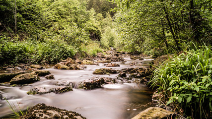 Vallée du Bayehon