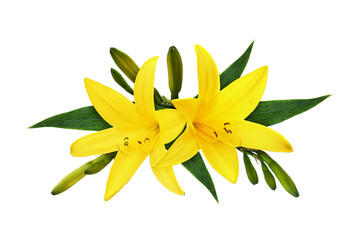 Yellow lily flowers and buds in a floral arangement
