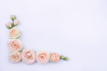 Fototapeta na wymiar flowers on white background composition postcard english roses peony design border