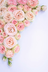 Obraz na płótnie Canvas flowers on white background composition postcard english roses peony design border