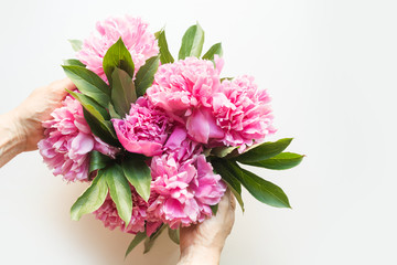 Pink peony flowers in female hand on white. View from above.