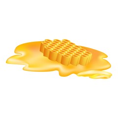 Honey cell icon. Cartoon of honey cell vector icon for web design isolated on white background
