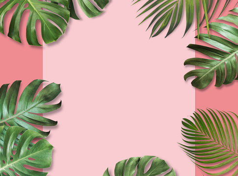 Tropical leaves on pink paper background with copy space Summer banner design
