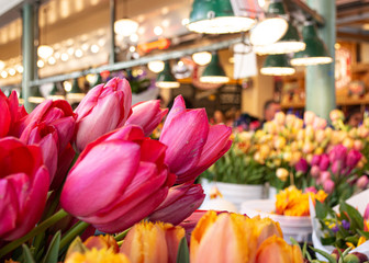 tulips in market