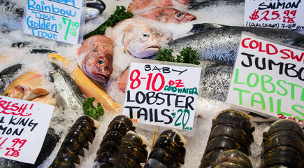 seafood in market