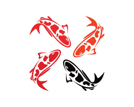 Koi design on white background. Animal. Fish icon. Underwater. Easy editable layared vector illustration