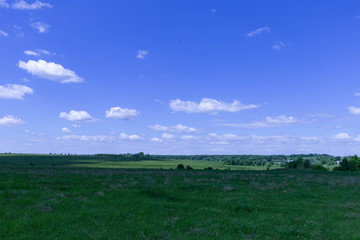 Fototapeta na wymiar field in late spring and blue sky with white clouds
