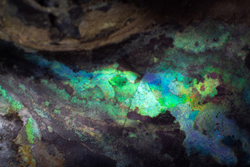 Texture of natural untreated pearl ammonite macro