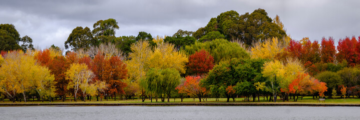 Autumn Trees By Water. Canberra ACT Australia