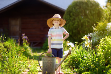 Cute little boy watering plants in the garden at summer sunny day. © Maria Sbytova
