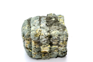 Mold growing rapidly on moldy bread on white background.Scientists modify fungus found on bread into an anti-virus chemical. image