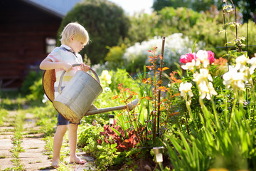 Cute little boy watering plants in the garden at summer sunny day.