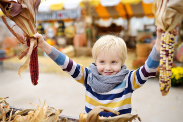 Little boy having fun on a tour of a pumpkin farm at autumn. Child holding indian corn.