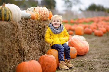 Little boy having fun on a tour of a pumpkin farm at autumn. Child sitting near giant pumpkin.