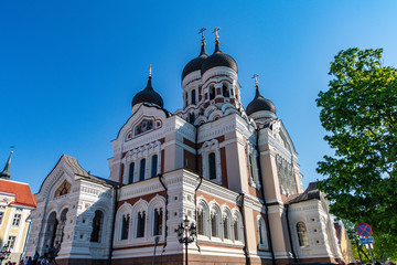 Fototapeta premium church