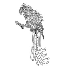 Parrot sketch. Doodle bird pattern. Vector illustration.