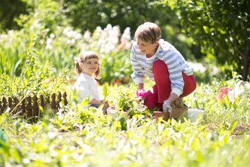  Grandmother with her granddaughter working in the garden.