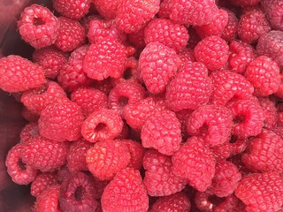 fresh raspberries background