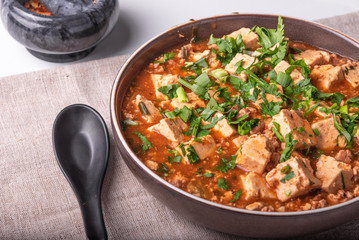 Traditional Chinese dish tofu with minced meat and tofu cheese in a bowl on a linen rustic napkin, close-up