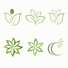 Tree leaf vector logo design, eco-friendly concept.
