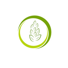 Tree leaf vector logo design, eco-friendly concept.