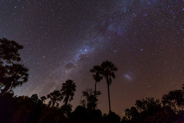 Fototapeta na wymiar Stars and Sky, Okavango Delta, Botswana, Africa