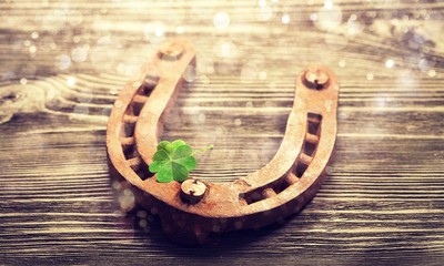 Metal horseshoe and clover leaf on wooden