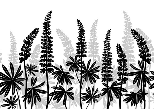 Seamless Horizontal Background of Plant Pictograms, Lupine Leaves and Flowers, Black and Grey on White. Vector