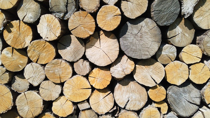 Oak wood cuts texture. Lumber background.