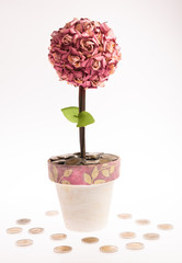 Flower pot and money